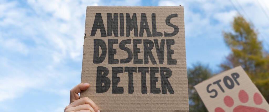 9 Things You Can Do to Help Animals During National Justice for Animals Week