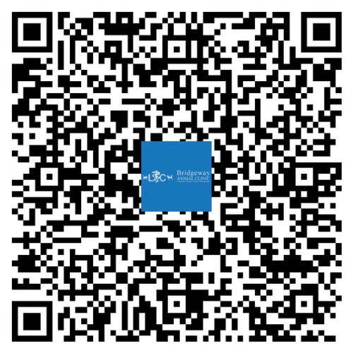 Bridgeway QR Code