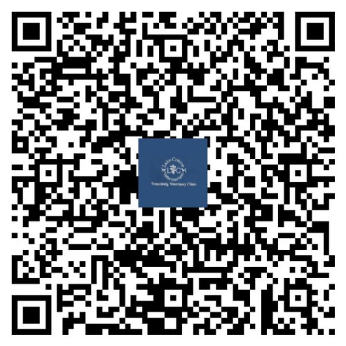 QR Code Treaschwig