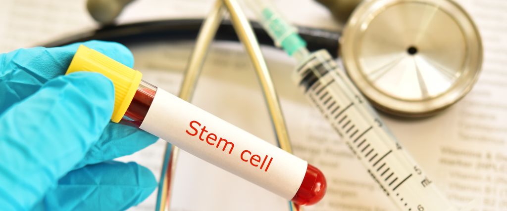 The Power of Stem Cell Therapy for Dogs and Cats