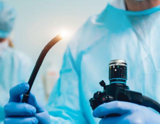 A Closer Look: Exploring Endoscopy in Dogs